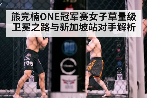 mma cage fight night