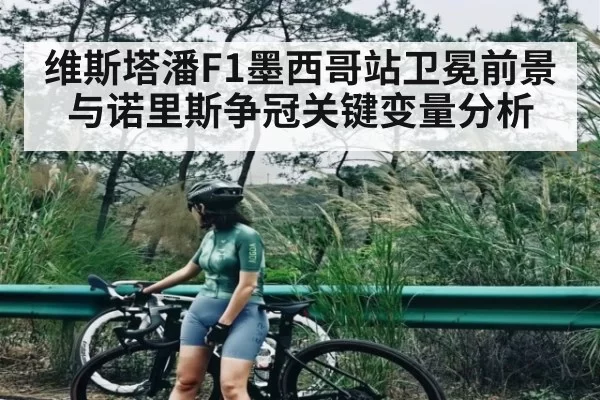 维斯塔潘F1墨西哥站卫冕前景与诺里斯争冠关键变量分析